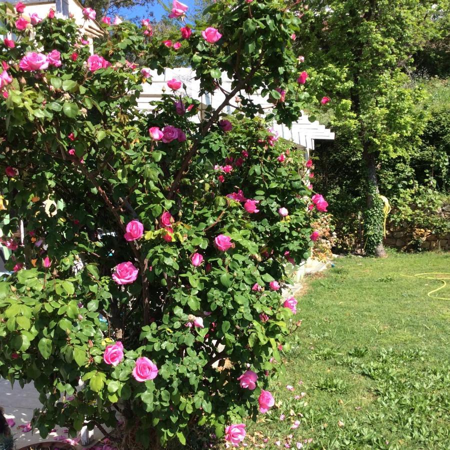 Bienvenue Chez Alain Et Marie Apartment อองทีบส์ ภายนอก รูปภาพ